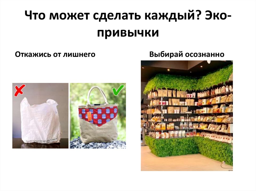 Что может сделать каждый? Эко-привычки