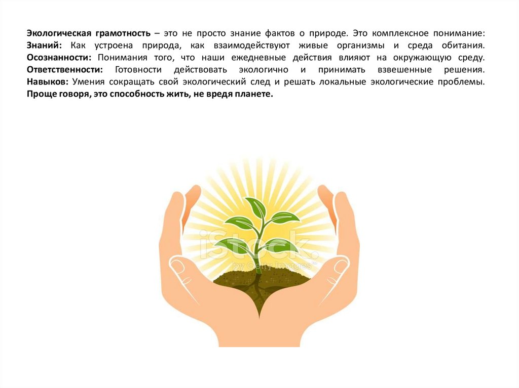 Экологическая грамотность – это не просто знание фактов о природе. Это комплексное понимание: Знаний: Как устроена природа, как