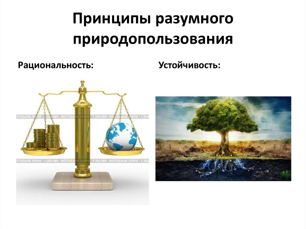 Принципы разумного природопользования