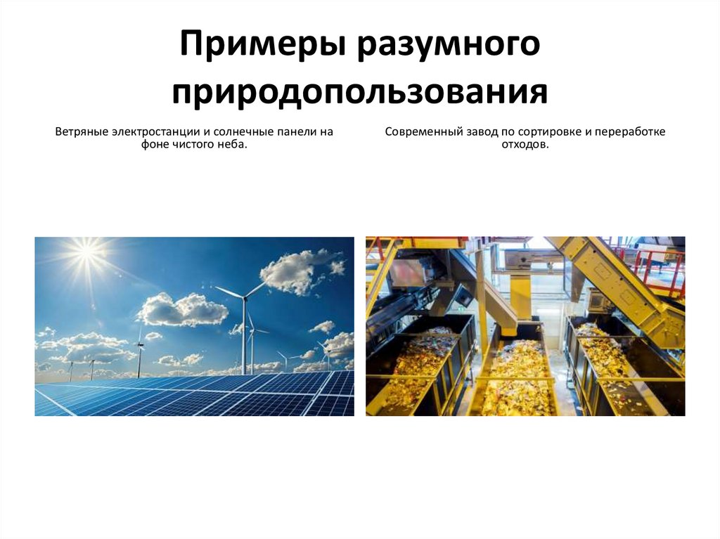 Примеры разумного природопользования