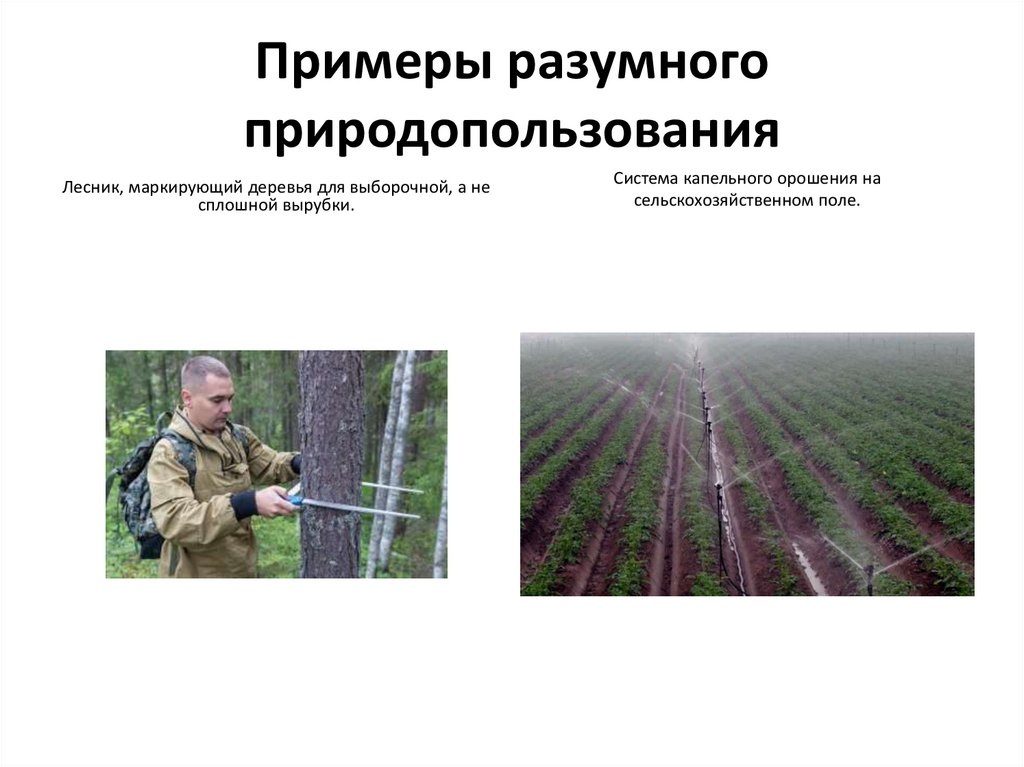 Примеры разумного природопользования