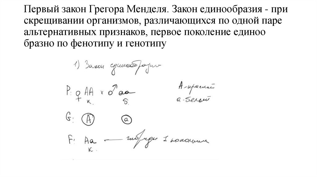 Первый закон Грегора Менделя. Закон единообразия - при скрещивании организмов, различающихся по одной паре альтернативных