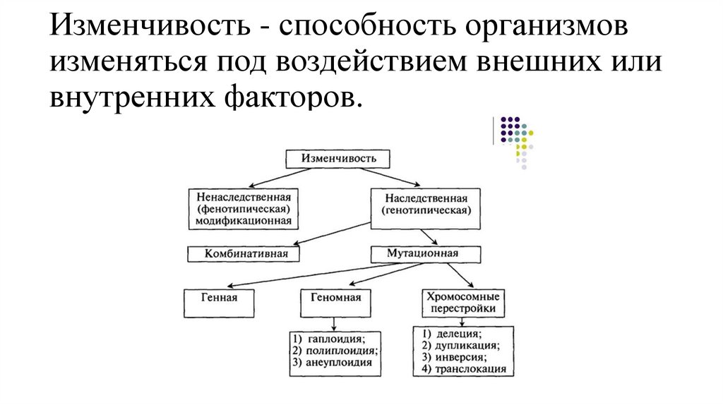 Изменчивость - способность организмов изменяться под воздействием внешних или внутренних факторов.