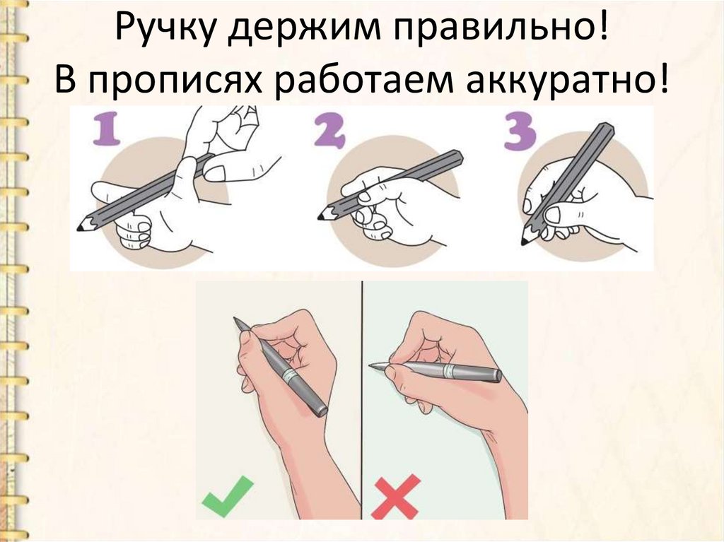 Ручку держим правильно! В прописях работаем аккуратно!