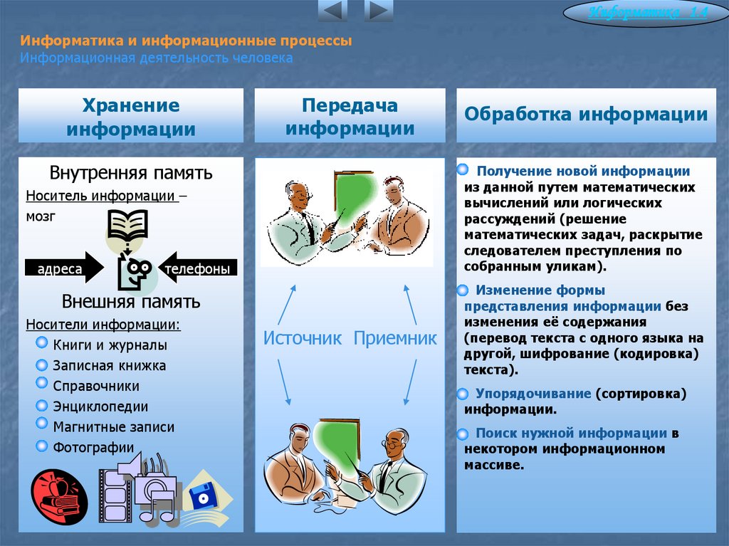 Информатика и информационные процессы Информационная деятельность человека