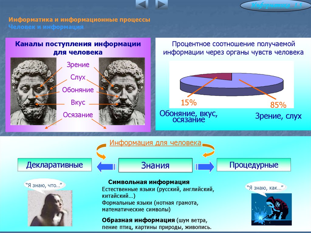 Информатика и информационные процессы Человек и информация