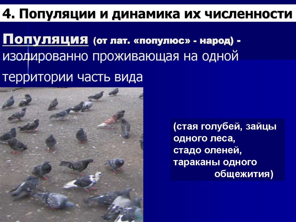 Популяция (от лат. «популюс» - народ) - изолированно проживающая на одной территории часть вида