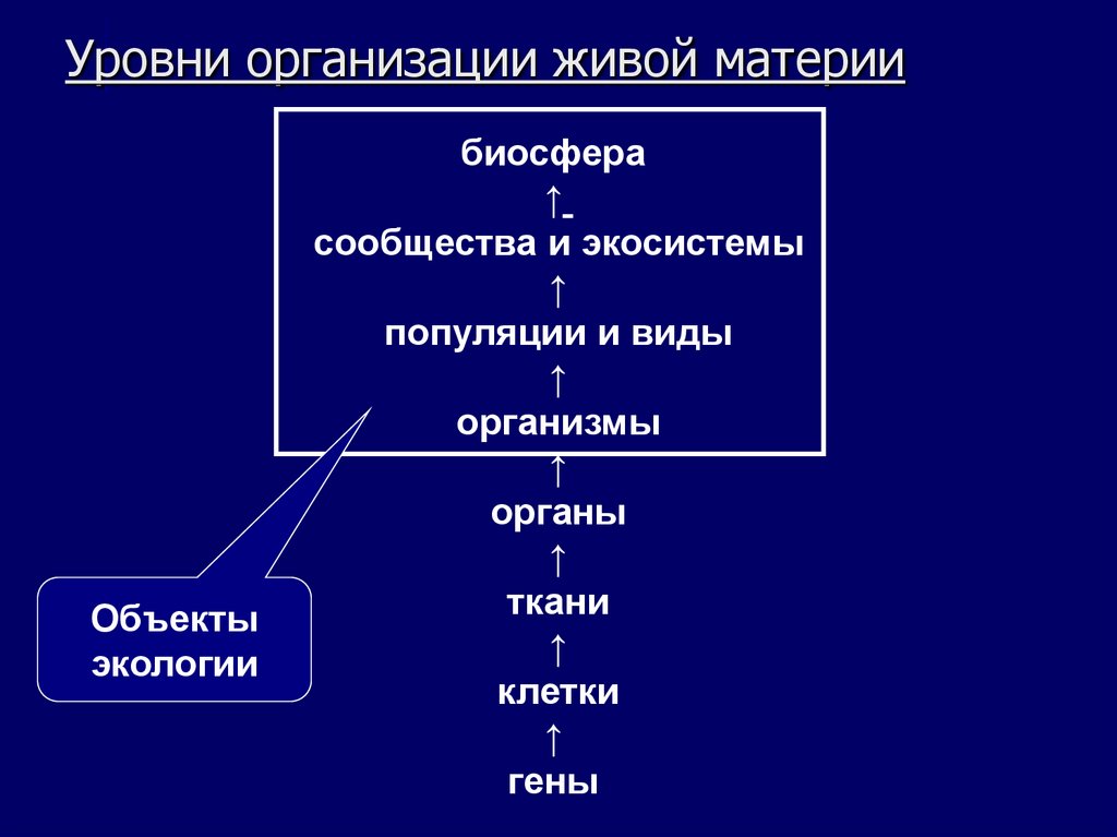 Уровни организации живой материи