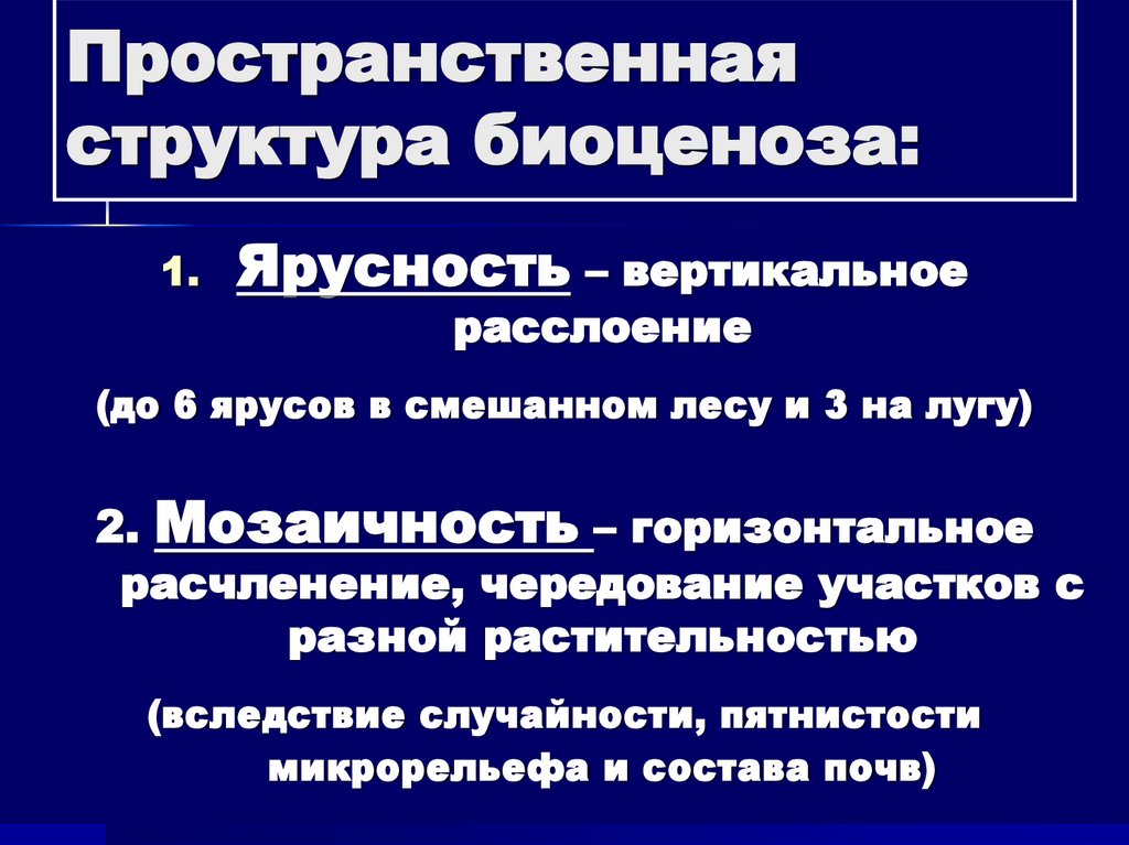 Пространственная структура биоценоза:
