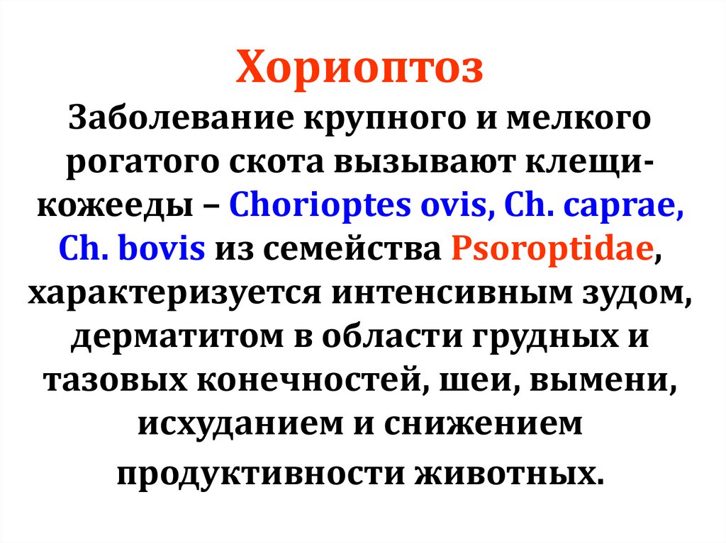 Хориоптоз Заболевание крупного и мелкого рогатого скота вызывают клещи-кожееды – Chorioptes ovis, Ch. caprae, Ch. bovis из
