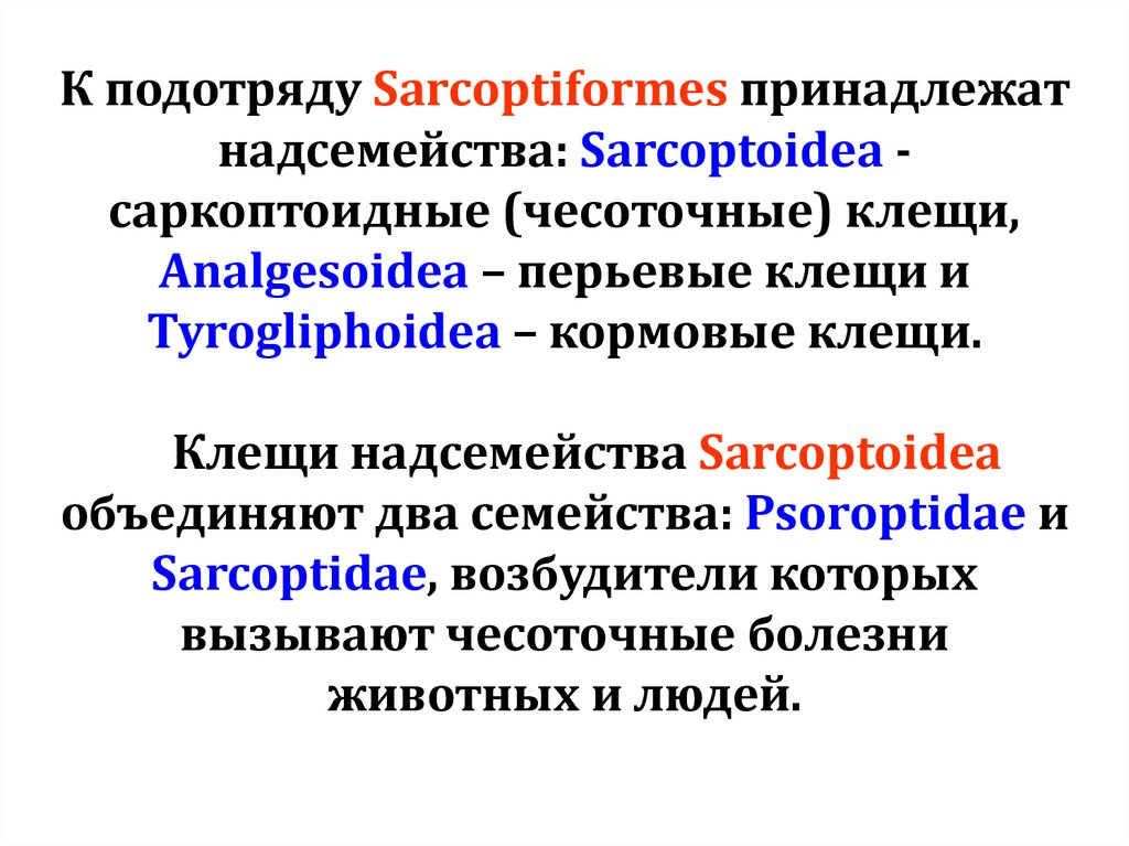 К подотряду Sarcoptiformes принадлежат надсемейства: Sarcoptoidea - саркоптоидные (чесоточные) клещи, Analgesoidea – перьевые