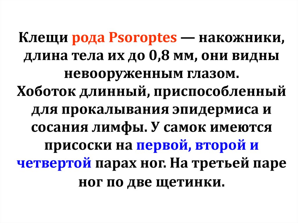 Клещи рода Psoroptes — накожники, длина тела их до 0,8 мм, они видны невооруженным глазом. Хоботок длинный, приспособленный для