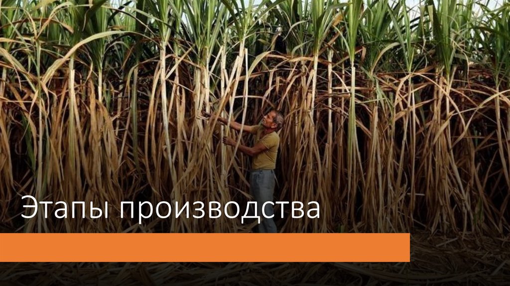 Этапы производства