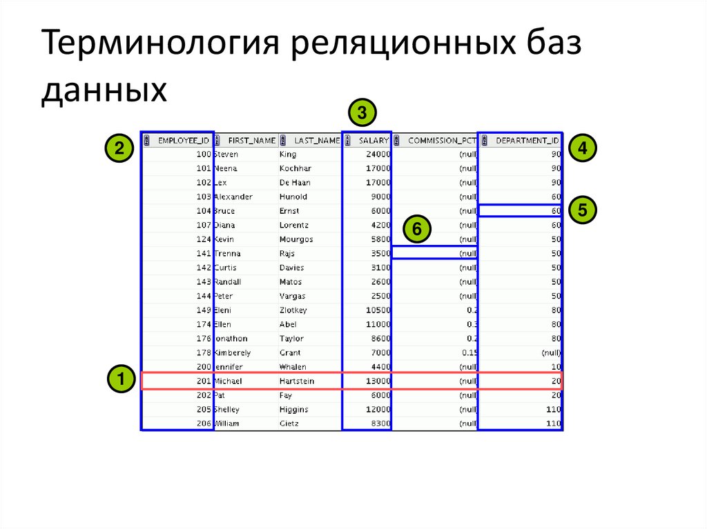 Терминология реляционных баз данных