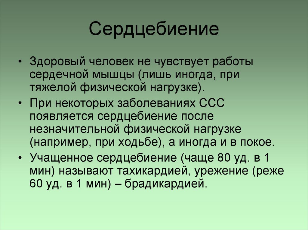 Сердцебиение
