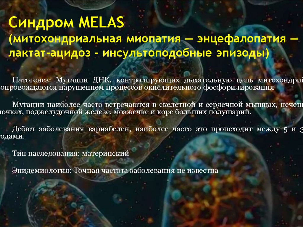 Синдром MELAS (митохондриальная миопатия — энцефалопатия — лактат-ацидоз - инсультоподобные эпизоды)