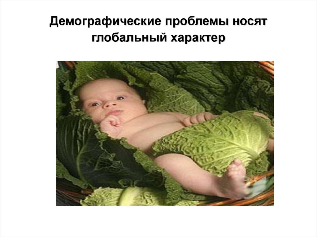 Демографические проблемы носят глобальный характер