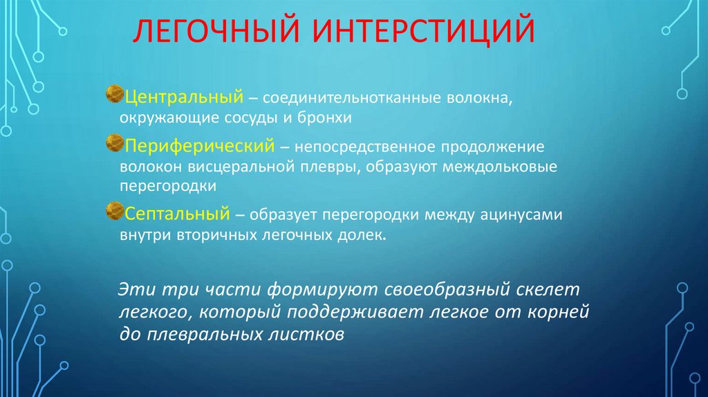 Легочный интерстиций