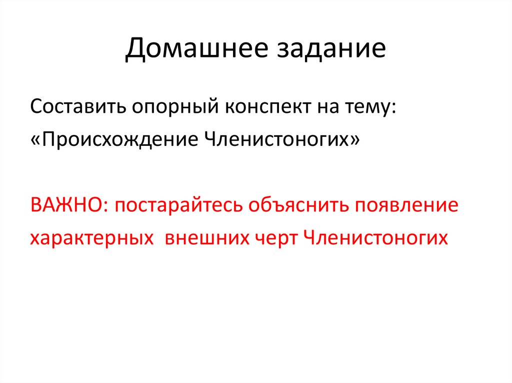 Домашнее задание