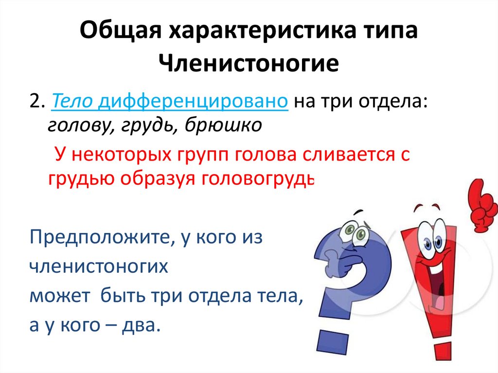 Общая характеристика типа Членистоногие