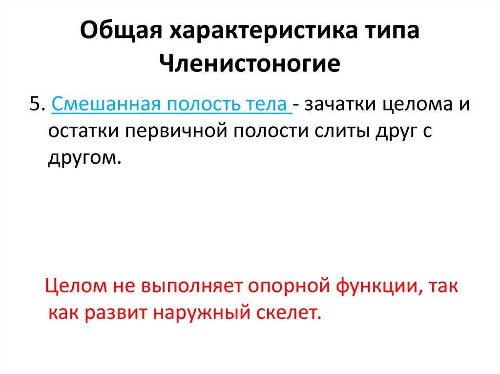 Общая характеристика типа Членистоногие