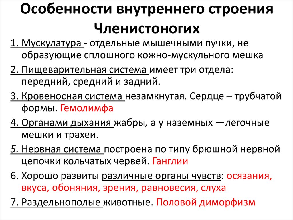 Особенности внутреннего строения Членистоногих