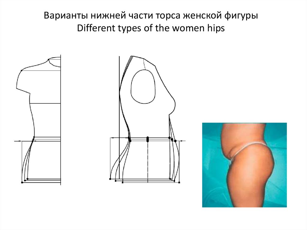 Варианты нижней части торса женской фигуры Different types of the women hips