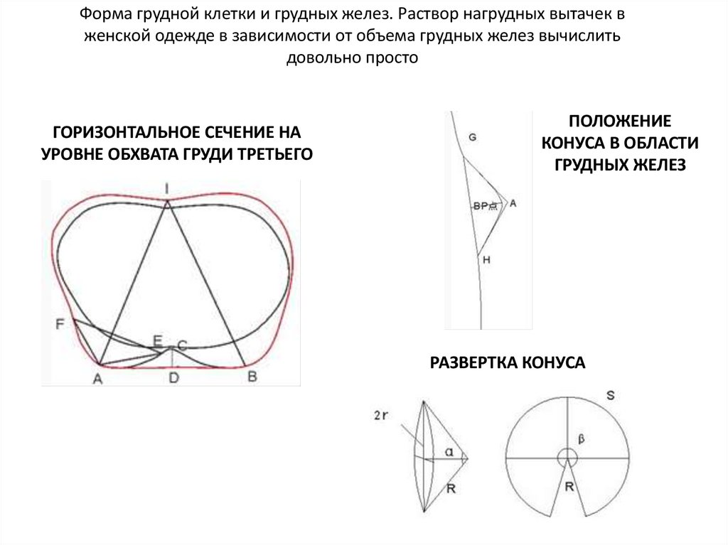 Форма грудной клетки и грудных желез. Раствор нагрудных вытачек в женской одежде в зависимости от объема грудных желез