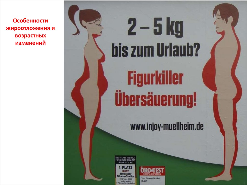 Особенности жироотложения и возрастных изменений