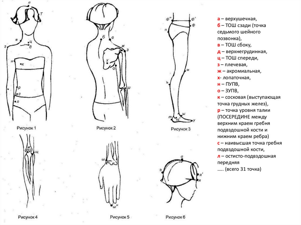 а – верхушечная, б – ТОШ сзади (точка седьмого шейного позвонка), в – ТОШ сбоку, д – верхнегрудинная, ц – ТОШ спереди, з –