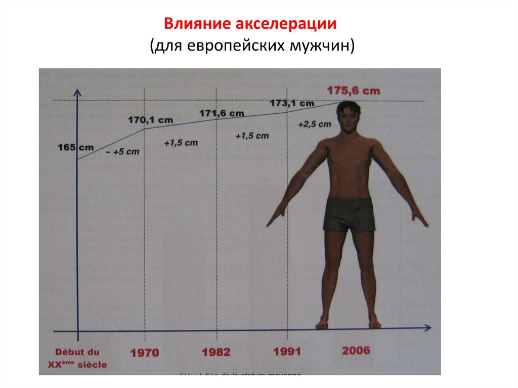 Влияние акселерации (для европейских мужчин)