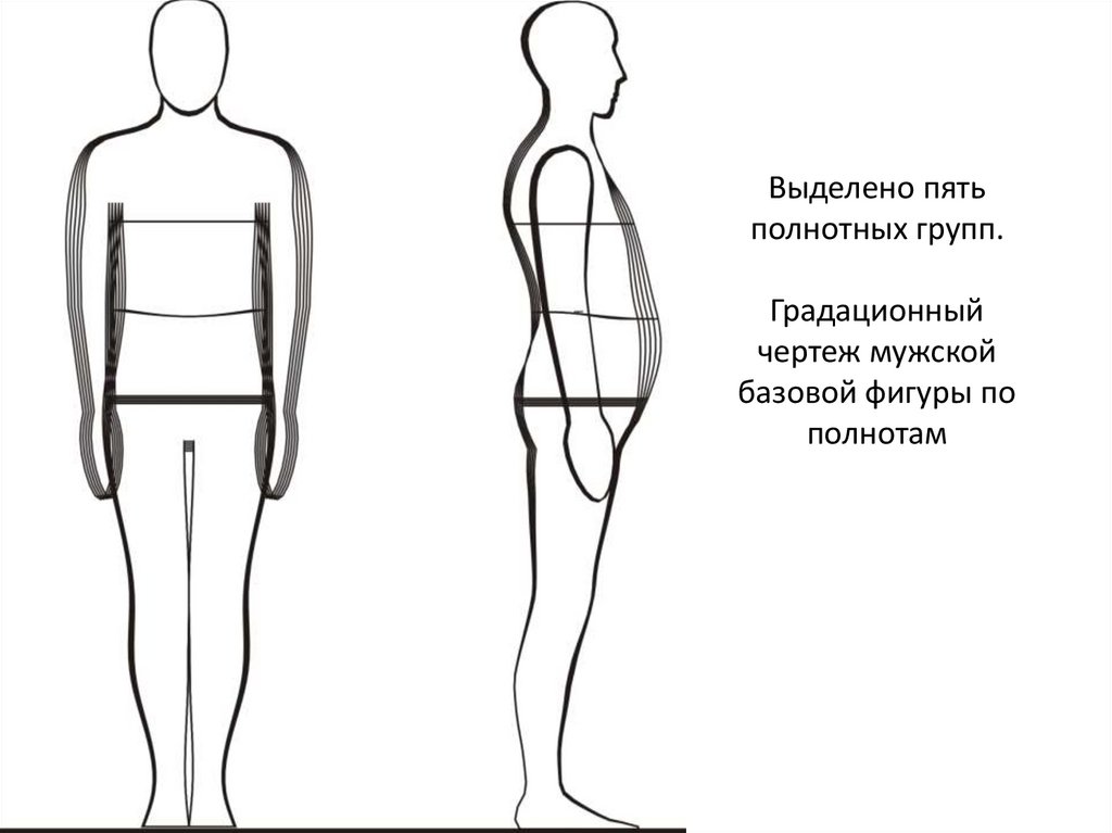 Выделено пять полнотных групп. Градационный чертеж мужской базовой фигуры по полнотам