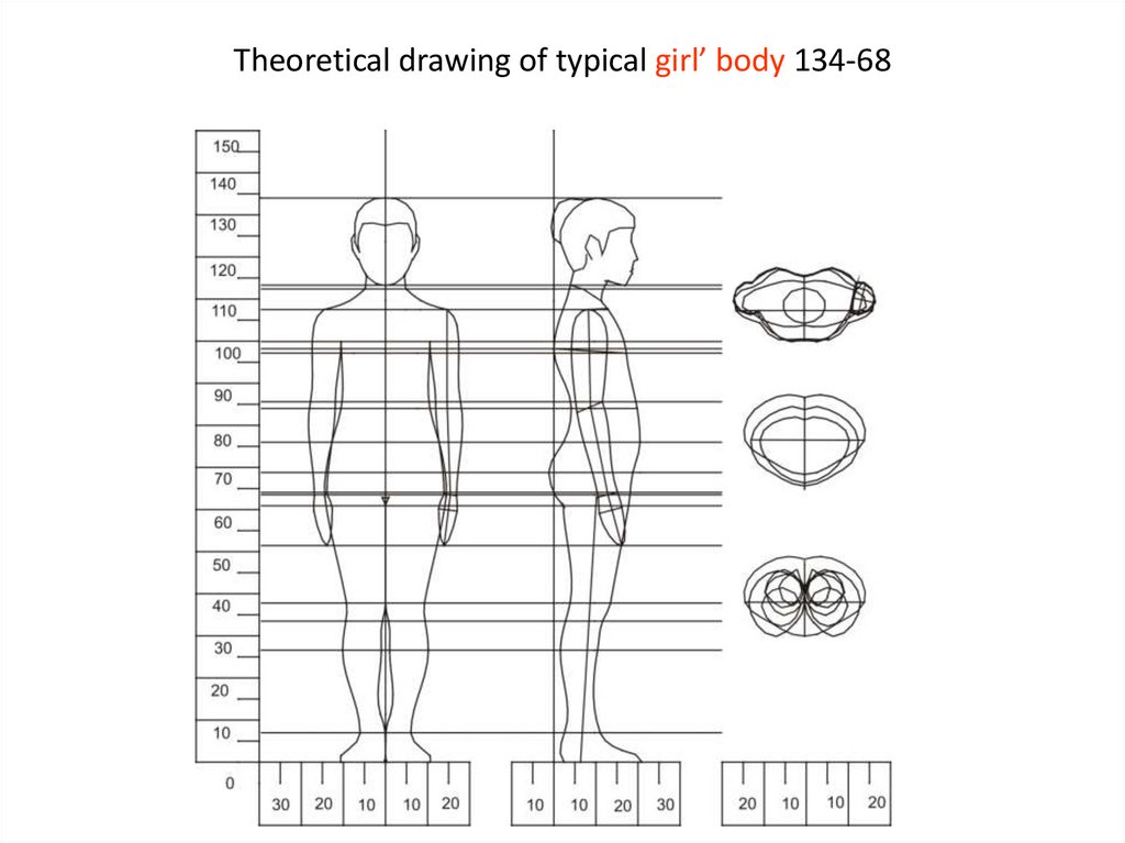 Theoretical drawing of typical girl’ body 134-68