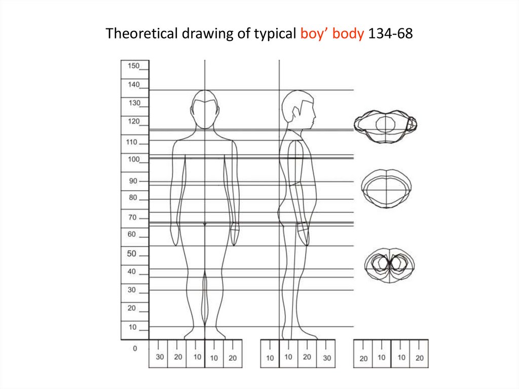 Theoretical drawing of typical boy’ body 134-68