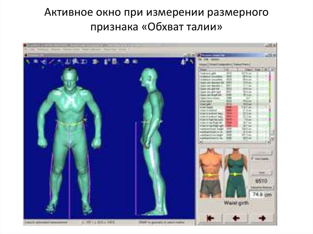 Активное окно при измерении размерного признака «Обхват талии»