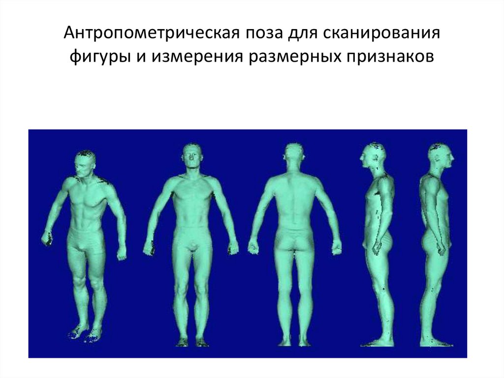 Антропометрическая поза для сканирования фигуры и измерения размерных признаков