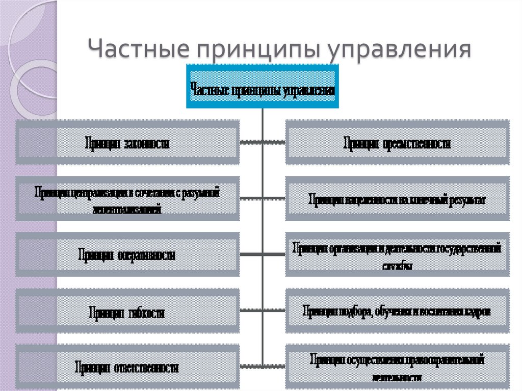 Частные принципы управления