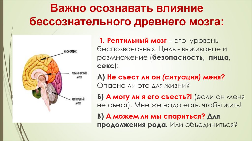 Важно осознавать влияние бессознательного древнего мозга: