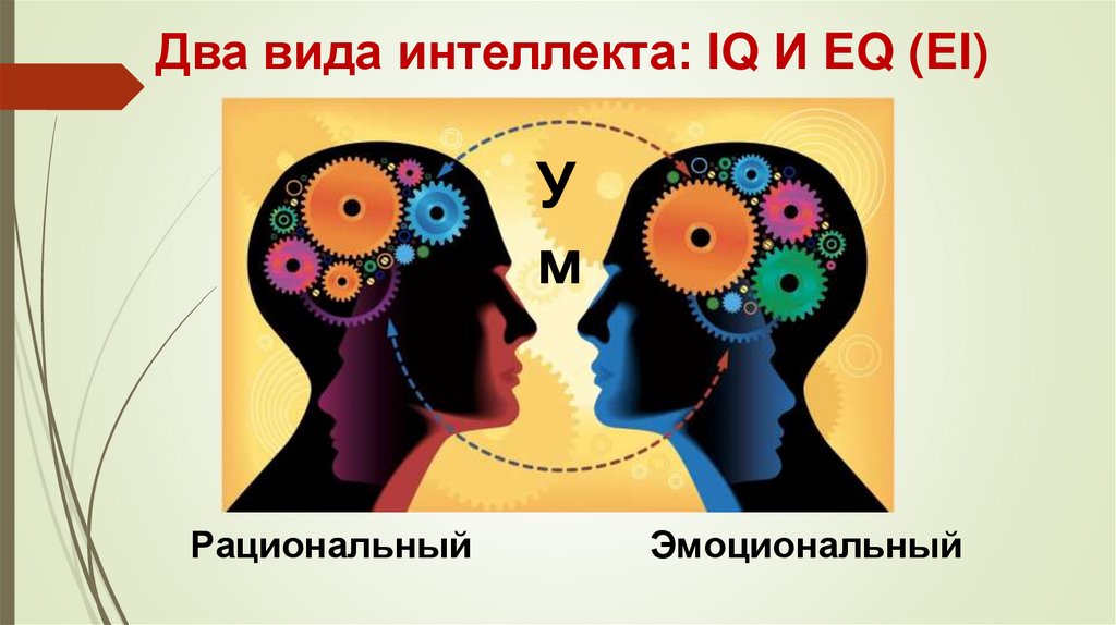 Два вида интеллекта: IQ И EQ (EI)