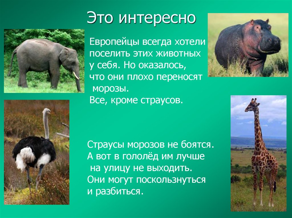 Это интересно