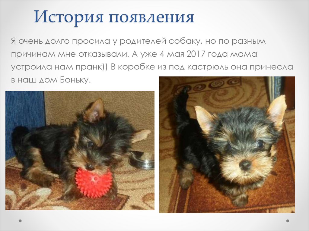 История появления