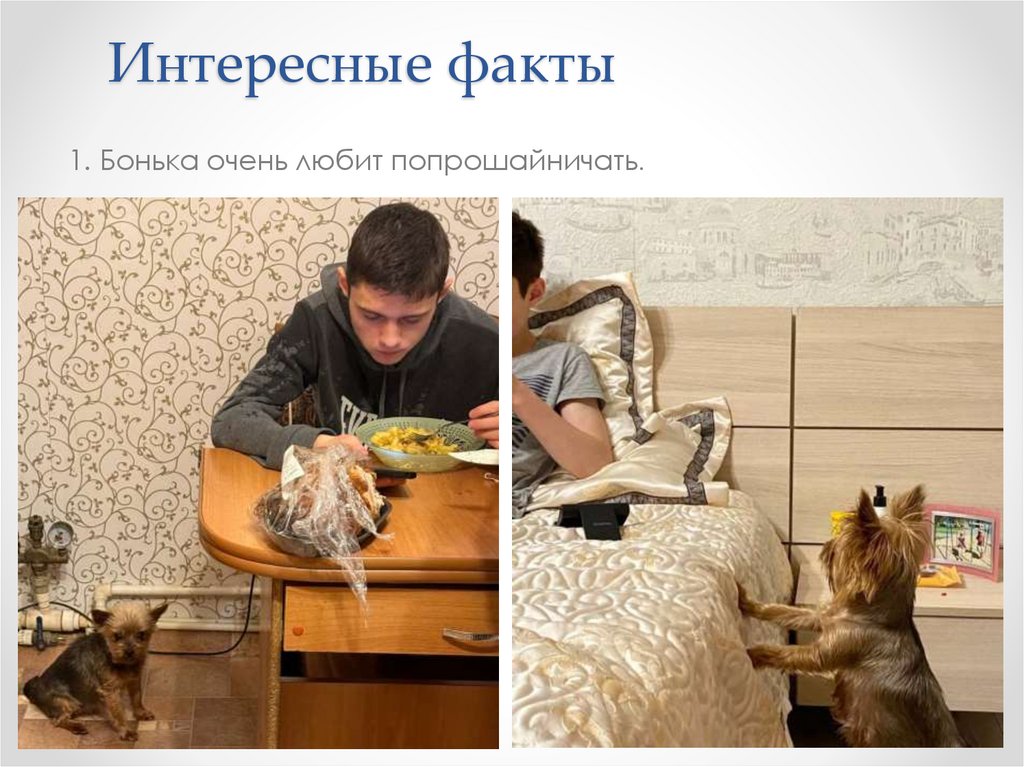 Интересные факты