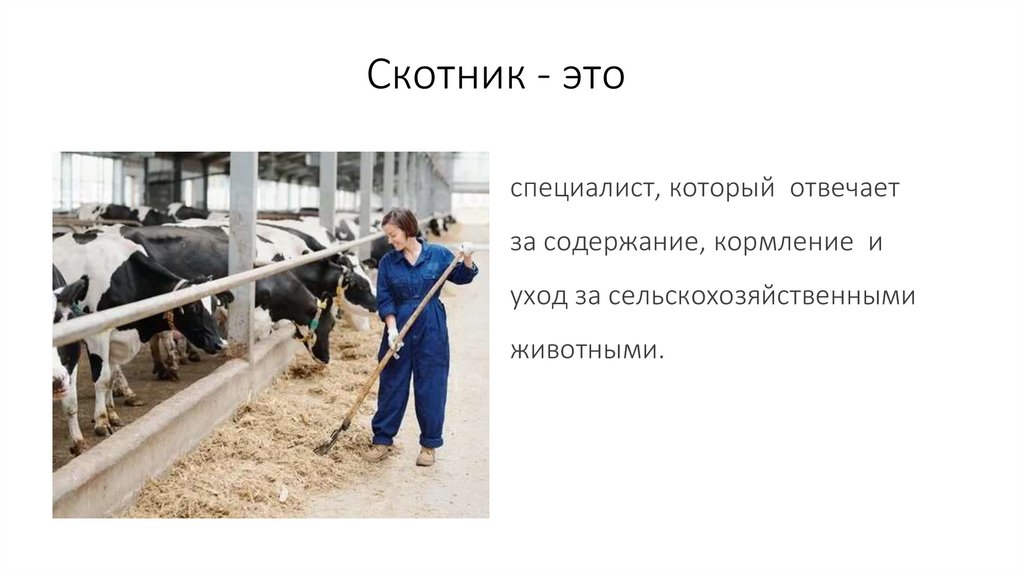 Скотник - это