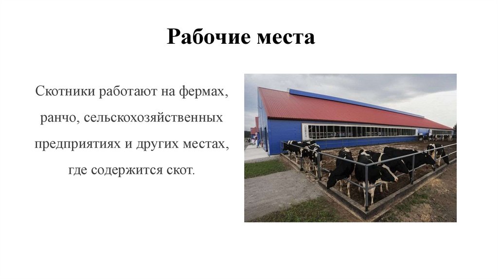 Рабочие места