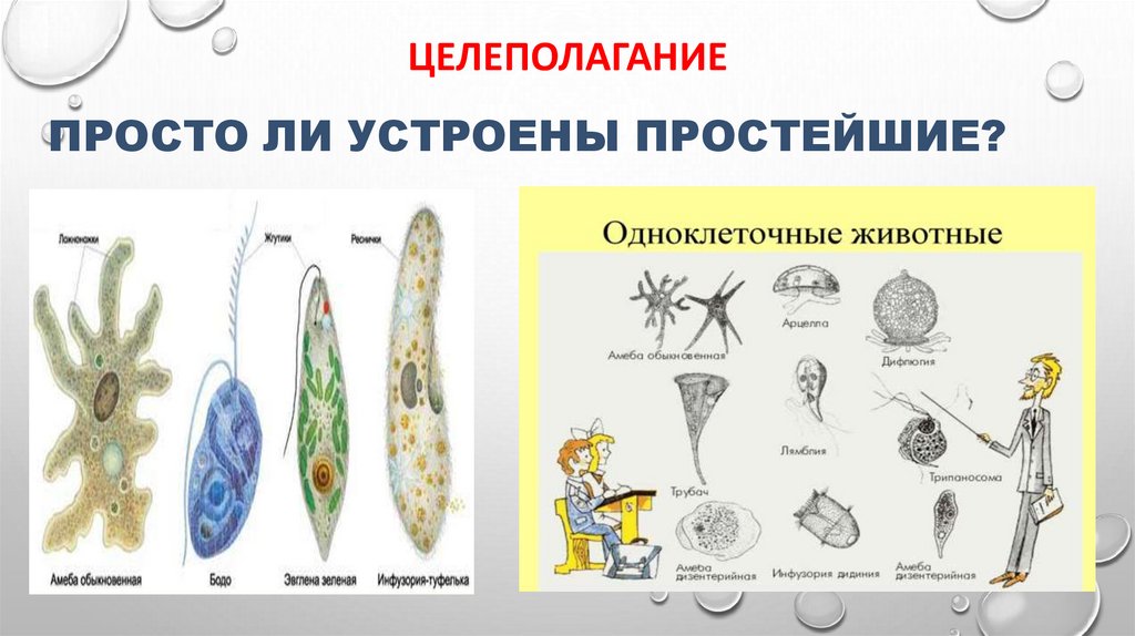 целеполагание