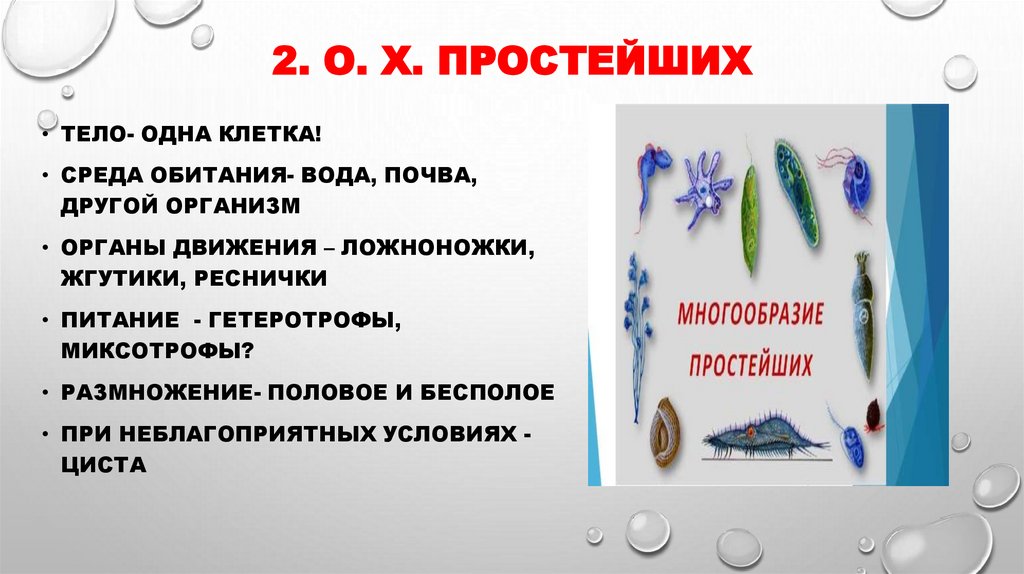 2. О. Х. Простейших