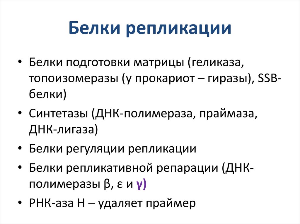 Белки репликации