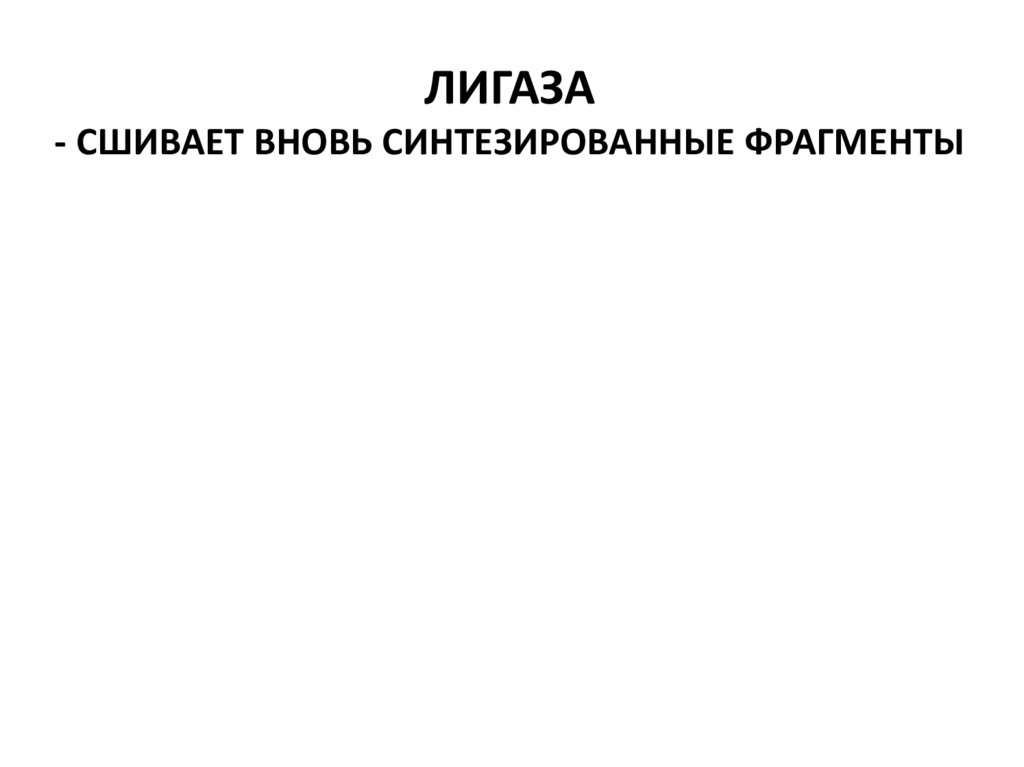 ЛИГАЗА - СШИВАЕТ ВНОВЬ СИНТЕЗИРОВАННЫЕ ФРАГМЕНТЫ