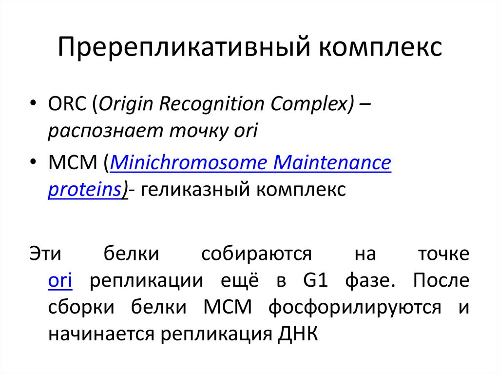 Пререпликативный комплекс