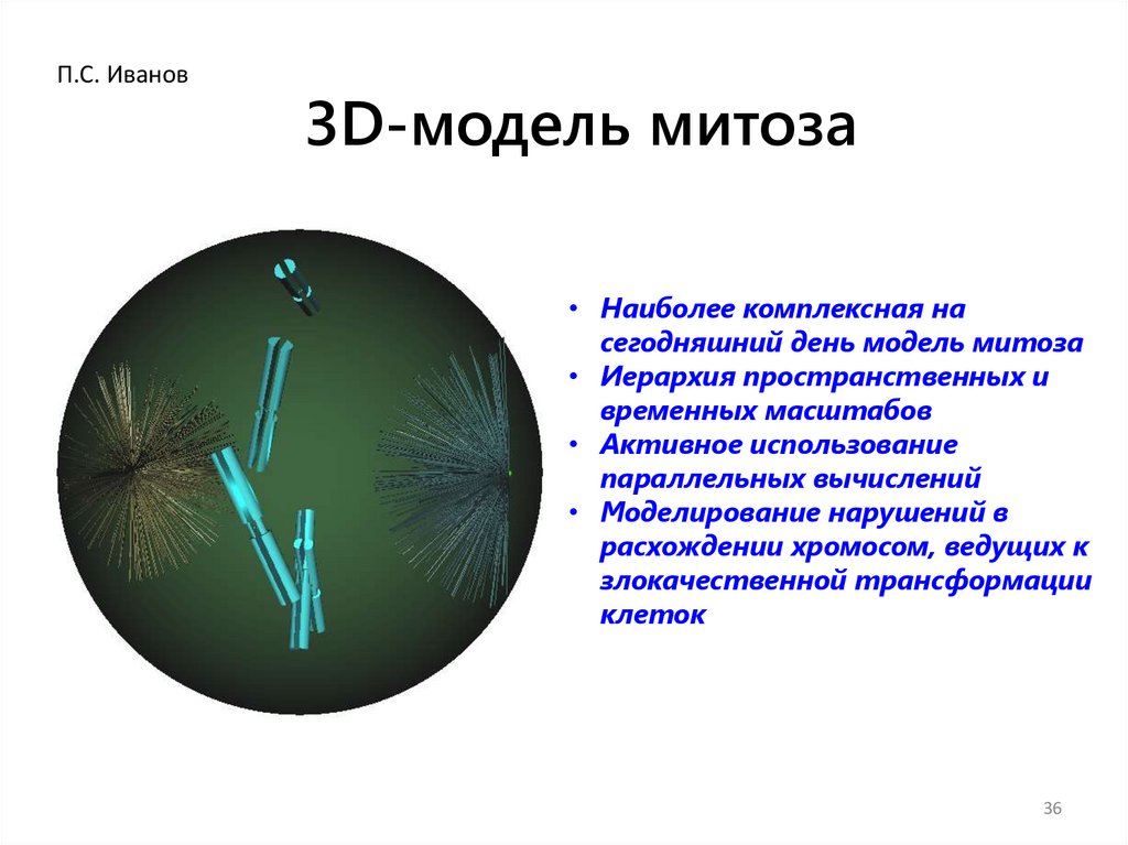 3D-модель митоза